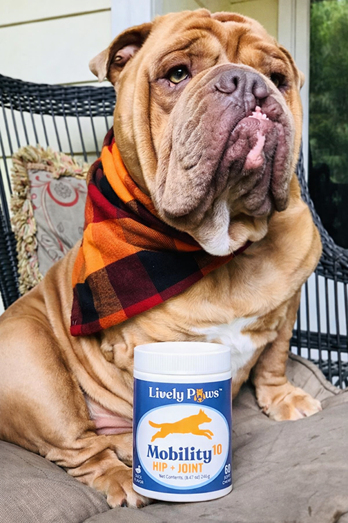 Bulldog Mobility Campaign